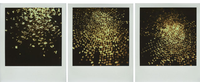 bruno levy artist 40hz polaroid