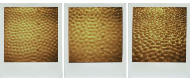 bruno levy artist 40hz polaroid
