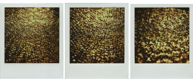 bruno levy artist 40hz polaroid