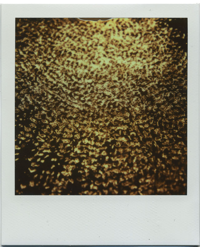 bruno levy artist 40hz polaroid